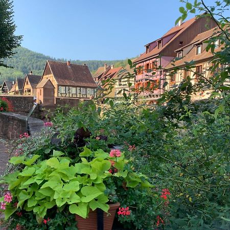 Studio Cosy Kaysersberg Centre Bagian luar foto
